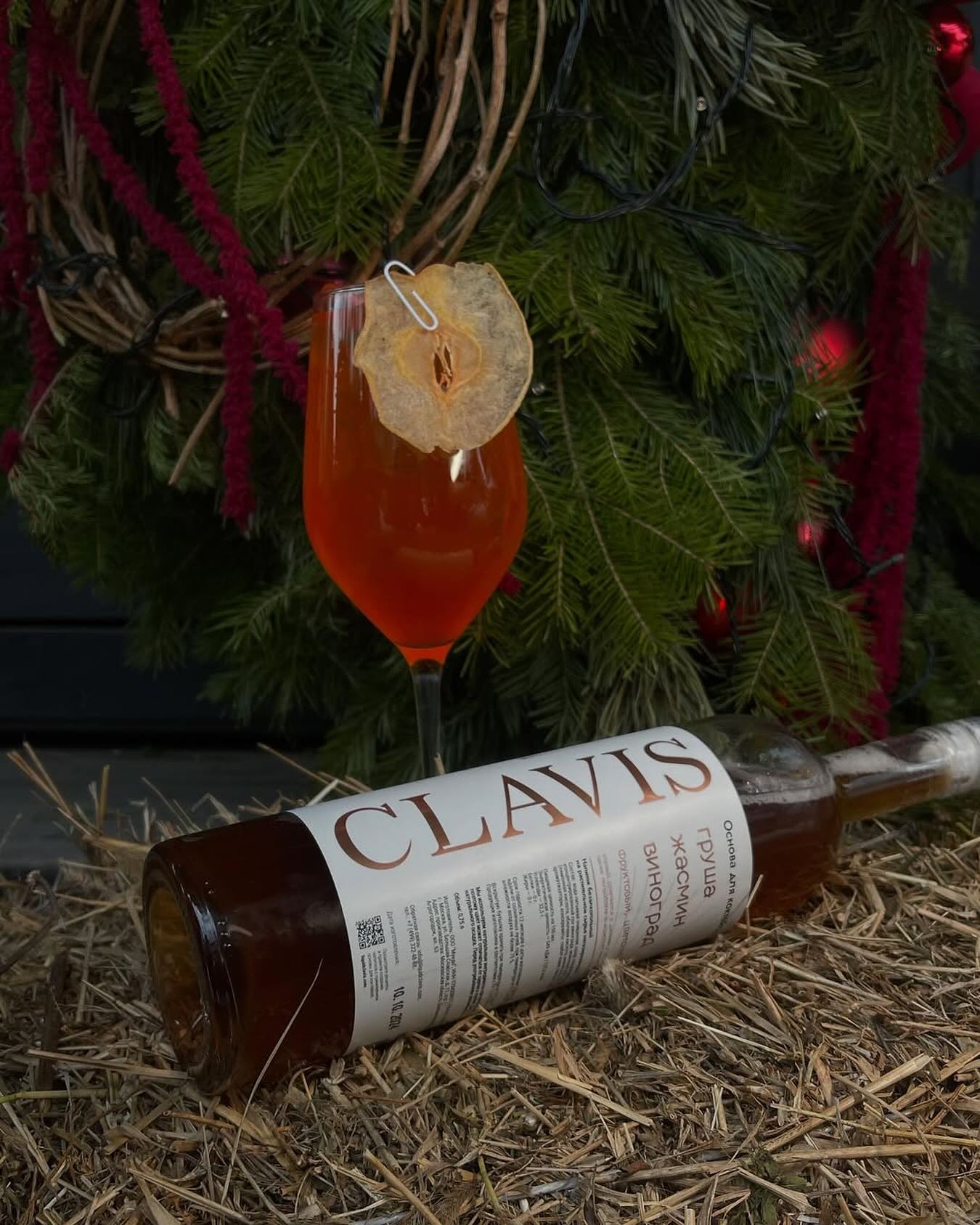 481384342_18036124955526946_9099556856749750172_n